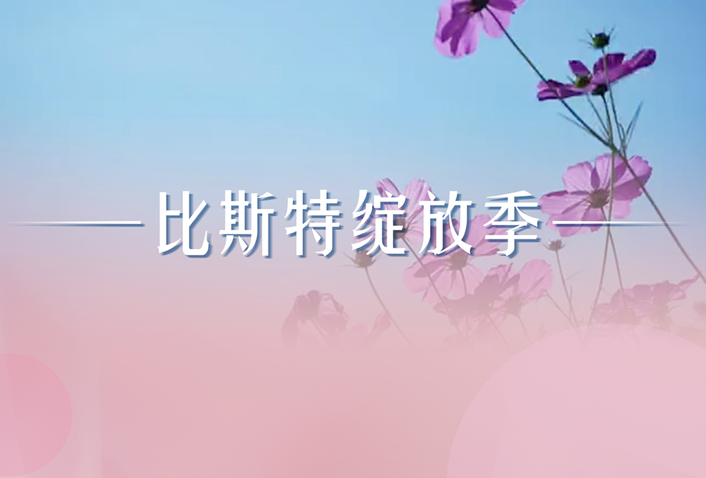 女王节“价”到，比斯特绽放你的美 ！
