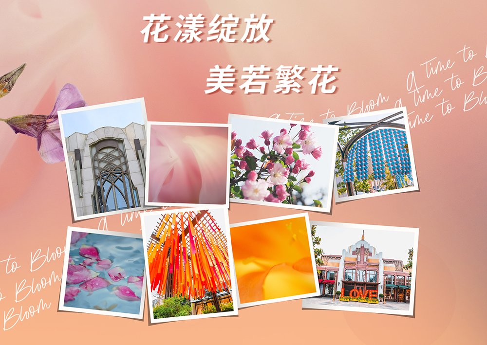 女王节“价”到，比斯特绽放你的美 ！