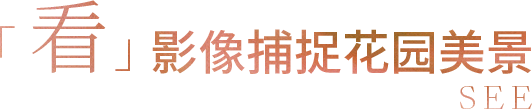 五一收官指南：近200家品牌邀你解锁五周年五重礼遇